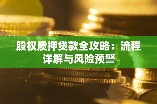 北京股权质押贷款全攻略：流程详解与风险预警