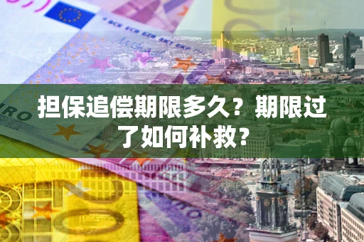 北京担保追偿期限多久？期限过了如何补救？