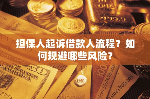 北京担保人起诉借款人流程？如何规避哪些风险？